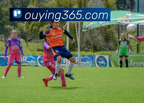 App Interface Preview